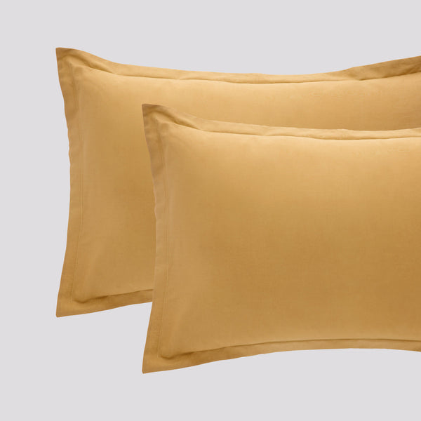 Coppie Federe in Cotone Paint Giallo Senape